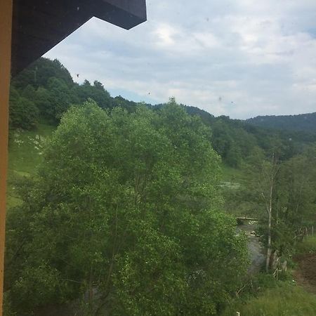 Pensiunea Silvian Cheia  Pokój zdjęcie